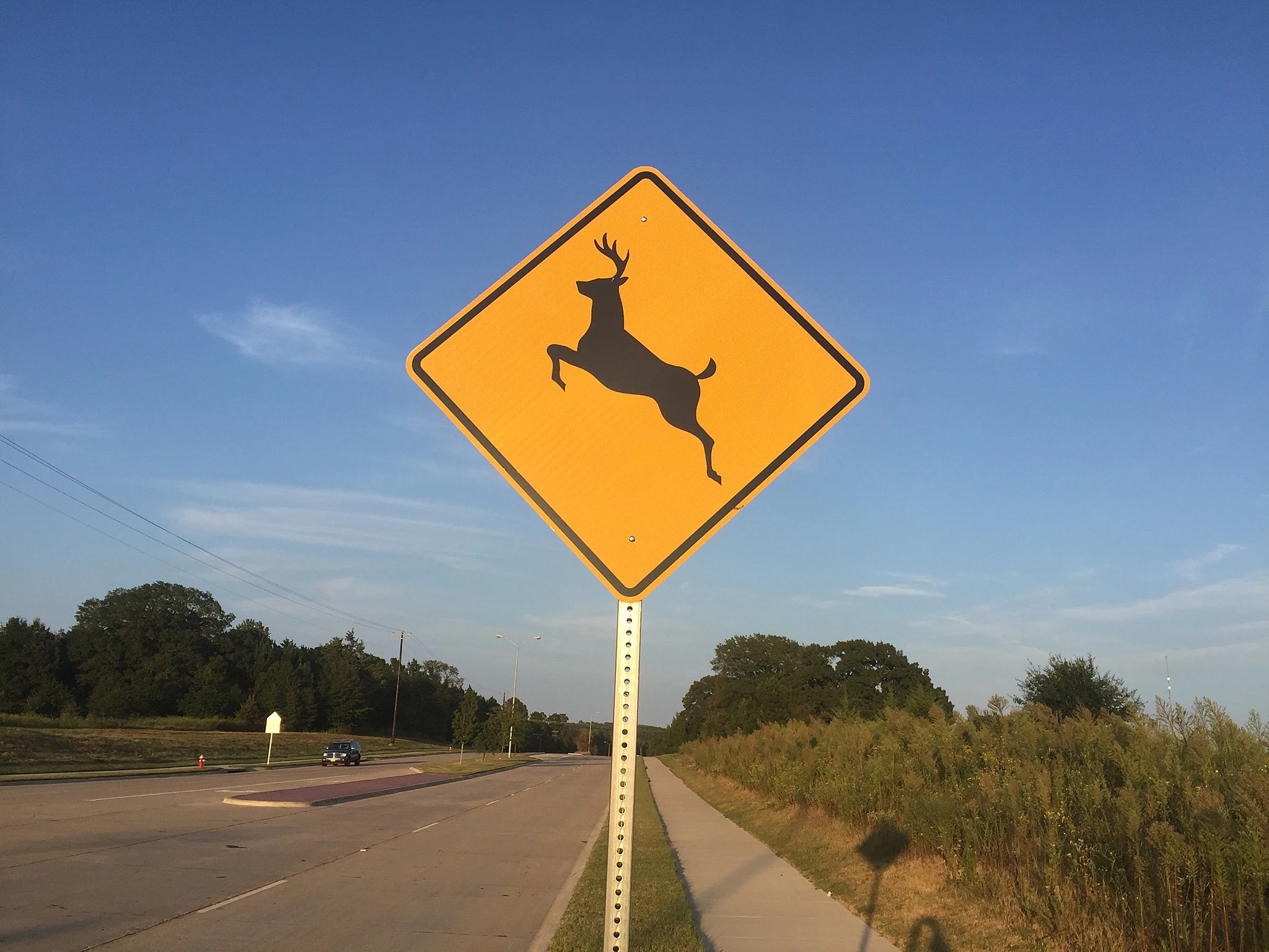 deer-crossing-2