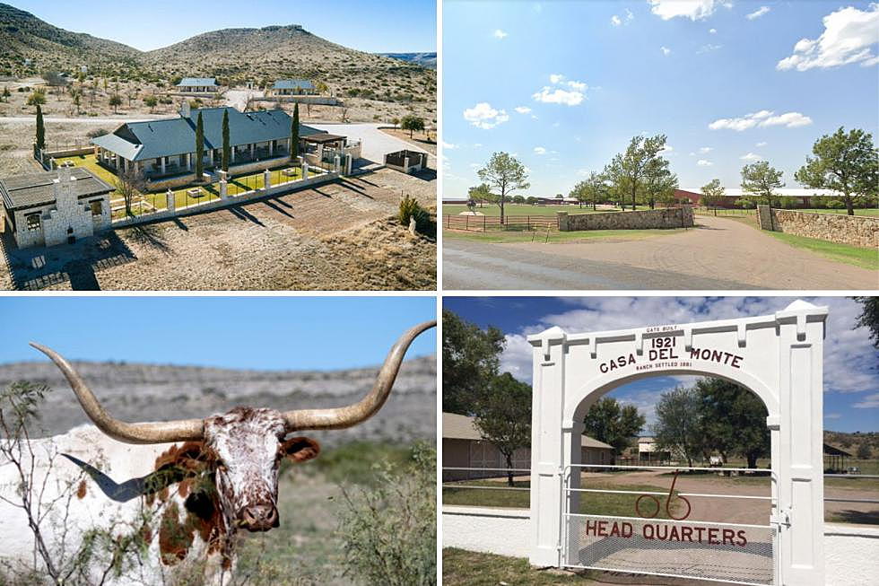 Who Are The Top 10 Largest Land Owners in The State Of Texas?