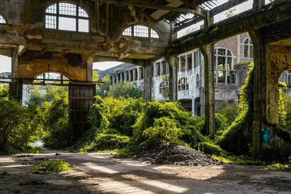The Curious History of a Now Abandoned Ammunition Plant in East Texas