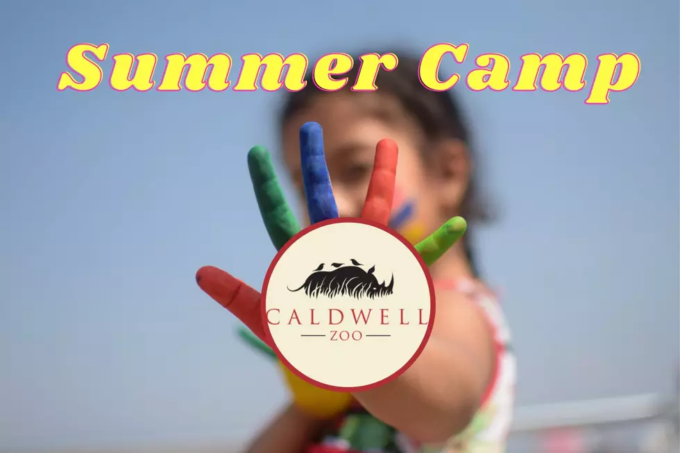 Registration For Caldwell Zoo’s Summer Camp For Tyler, TX Kids Opens Soon