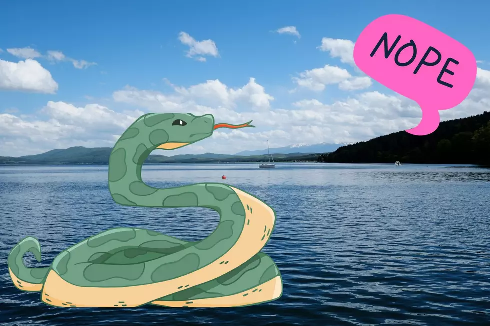 7 Texas Lakes Crawling With Snakes You Should Be Aware Of